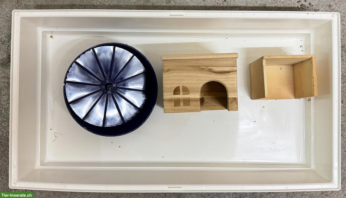 Bild 3: Hamsterkäfig mit Zubehör abzugeben