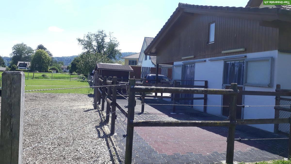 Bild 9: 2 Aussenboxen zu vermieten, auch für Kleinpferde/Ponys geeignet