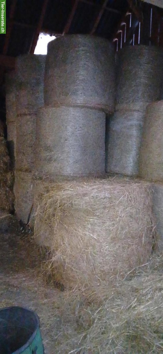 Heu für Pferde zu verkaufen