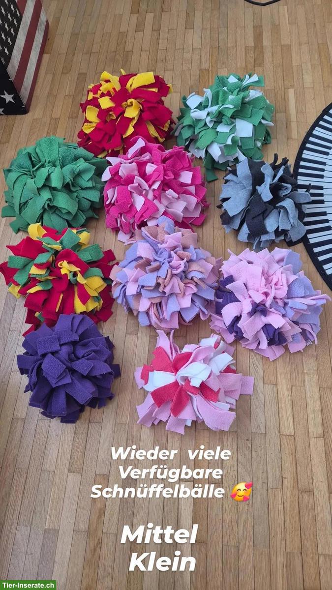 Schnüffelbälle für Hunde & Katzen zu verkaufen