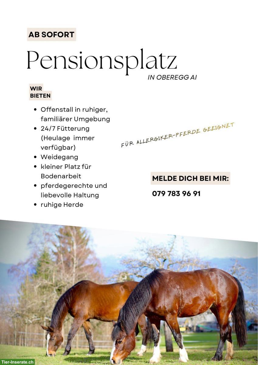Pensionsplatz frei in Offenstall in Oberegg AI