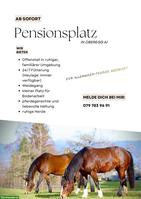 Pensionsplatz frei in Offenstall in Oberegg AI