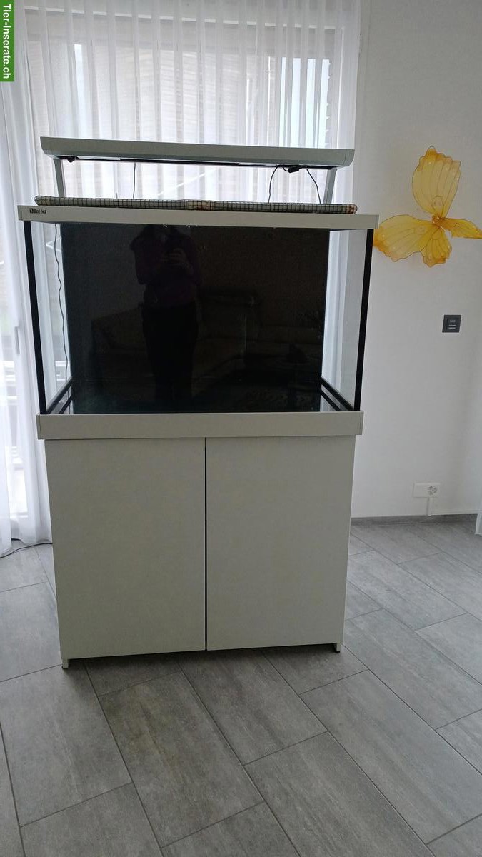 Bild 2: Meerwasseraquarium Red Sea S 400 zu verkaufen