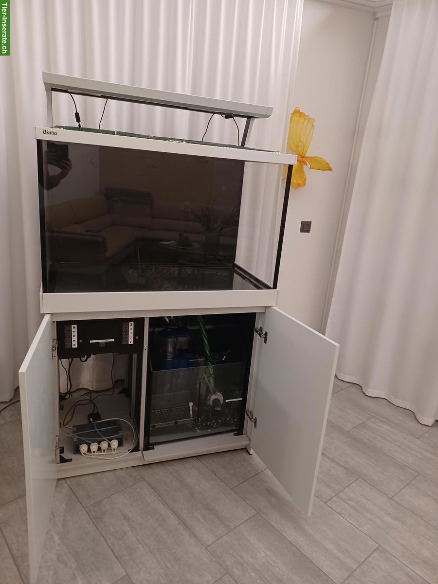 Bild 3: Meerwasseraquarium Red Sea S 400 zu verkaufen