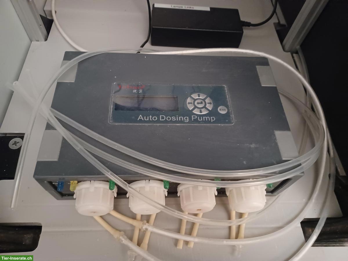 Bild 5: Meerwasseraquarium Red Sea S 400 zu verkaufen