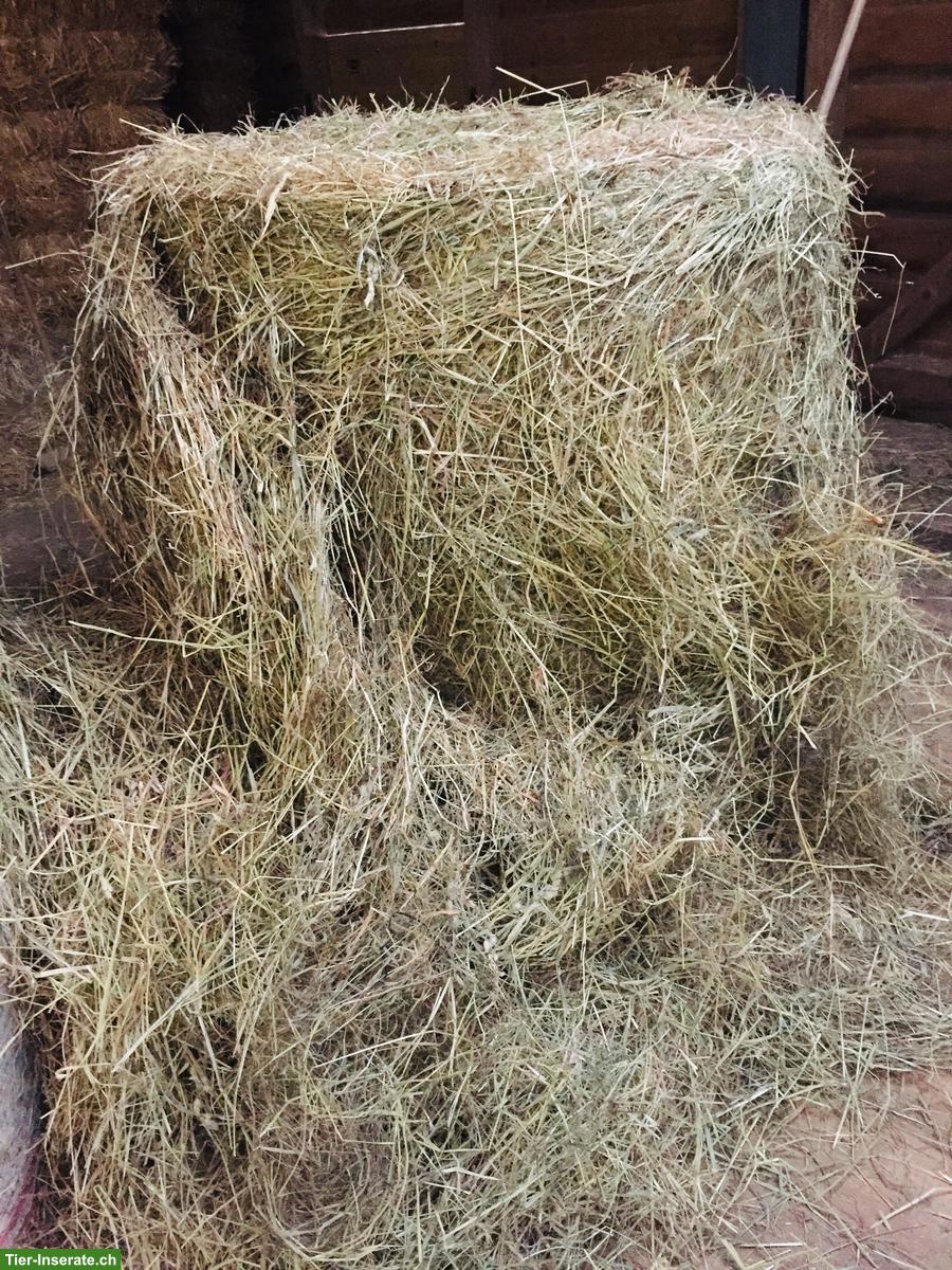 Pferdeheu in Rundballen zu verkaufen