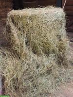 Pferdeheu in Rundballen zu verkaufen