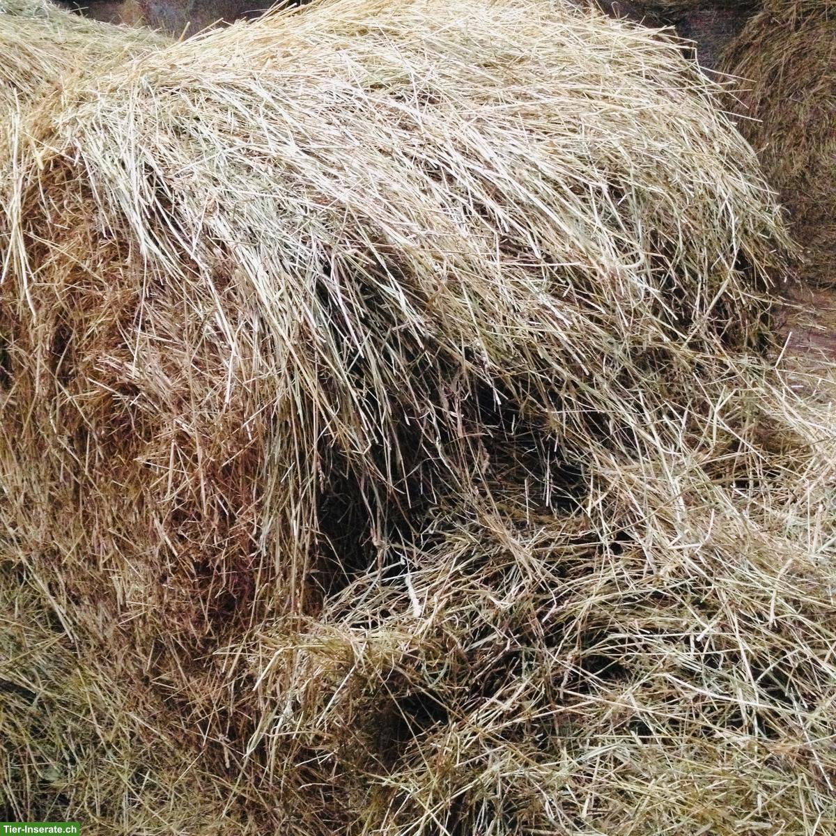 Bild 3: Pferdeheu in Rundballen zu verkaufen