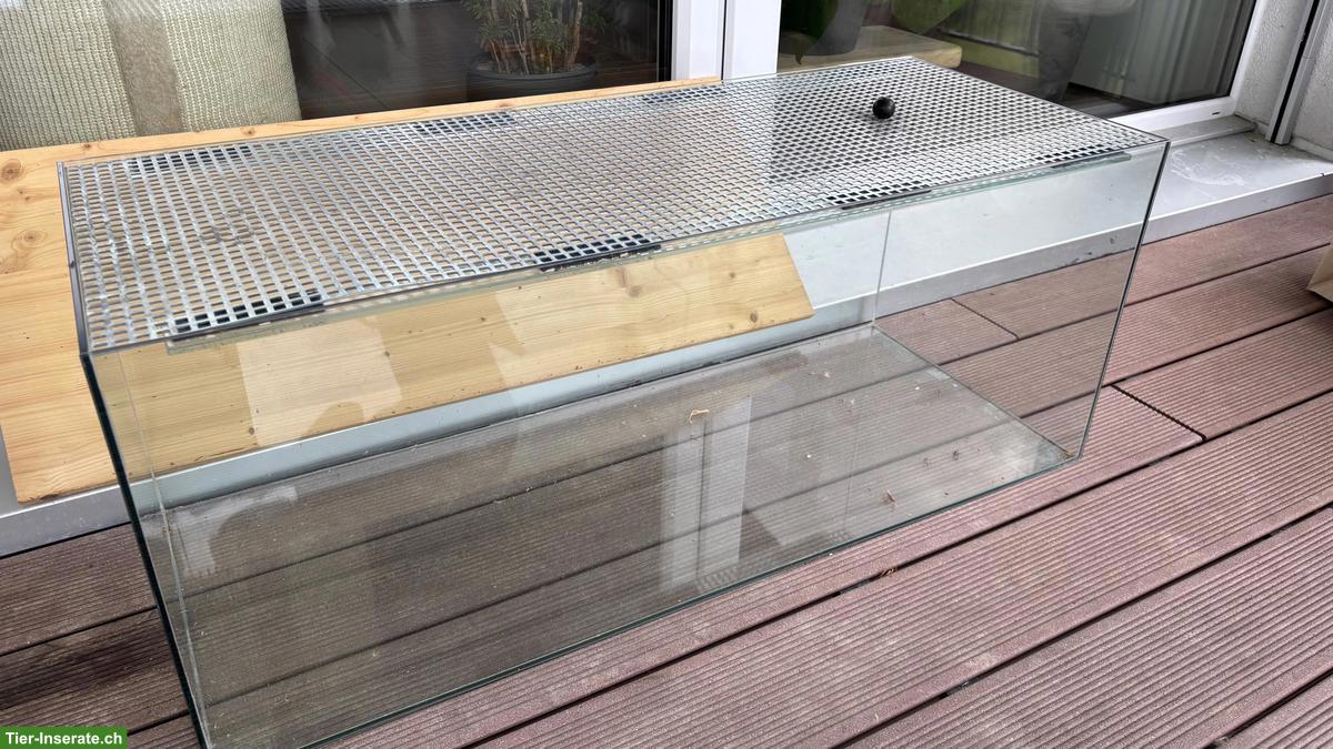 Nagerterrarium mit Gratis-Zubehör zu verkaufen