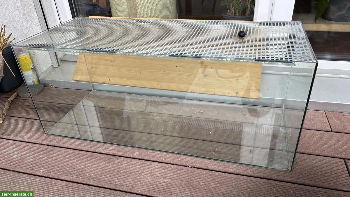 Bild 3: Nagerterrarium mit Gratis-Zubehör zu verkaufen