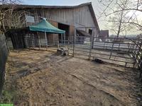 2 Auslaufboxen mit Option für Offenstall in Unterlunkhofen AG