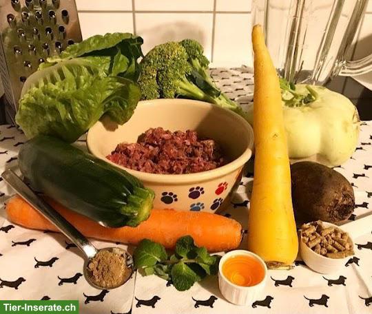 Bild 2: Professionelle Hundeernährungsberatung - Online Schweiz