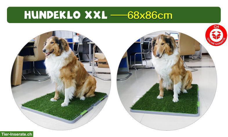 Hundetoilette XXL ideal für Balkon Wohnung
