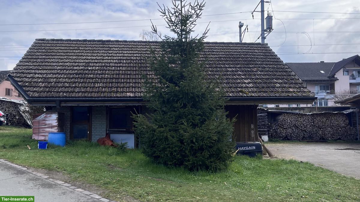Bild 4: Pferdeboxen zu vermieten in Marthalen ZH