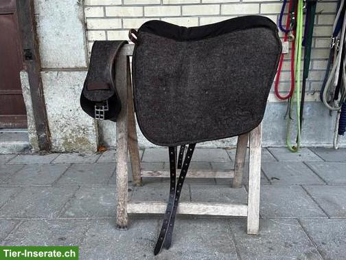 Bild 3: Filzsattel Isabell Steiner, wenig gebraucht