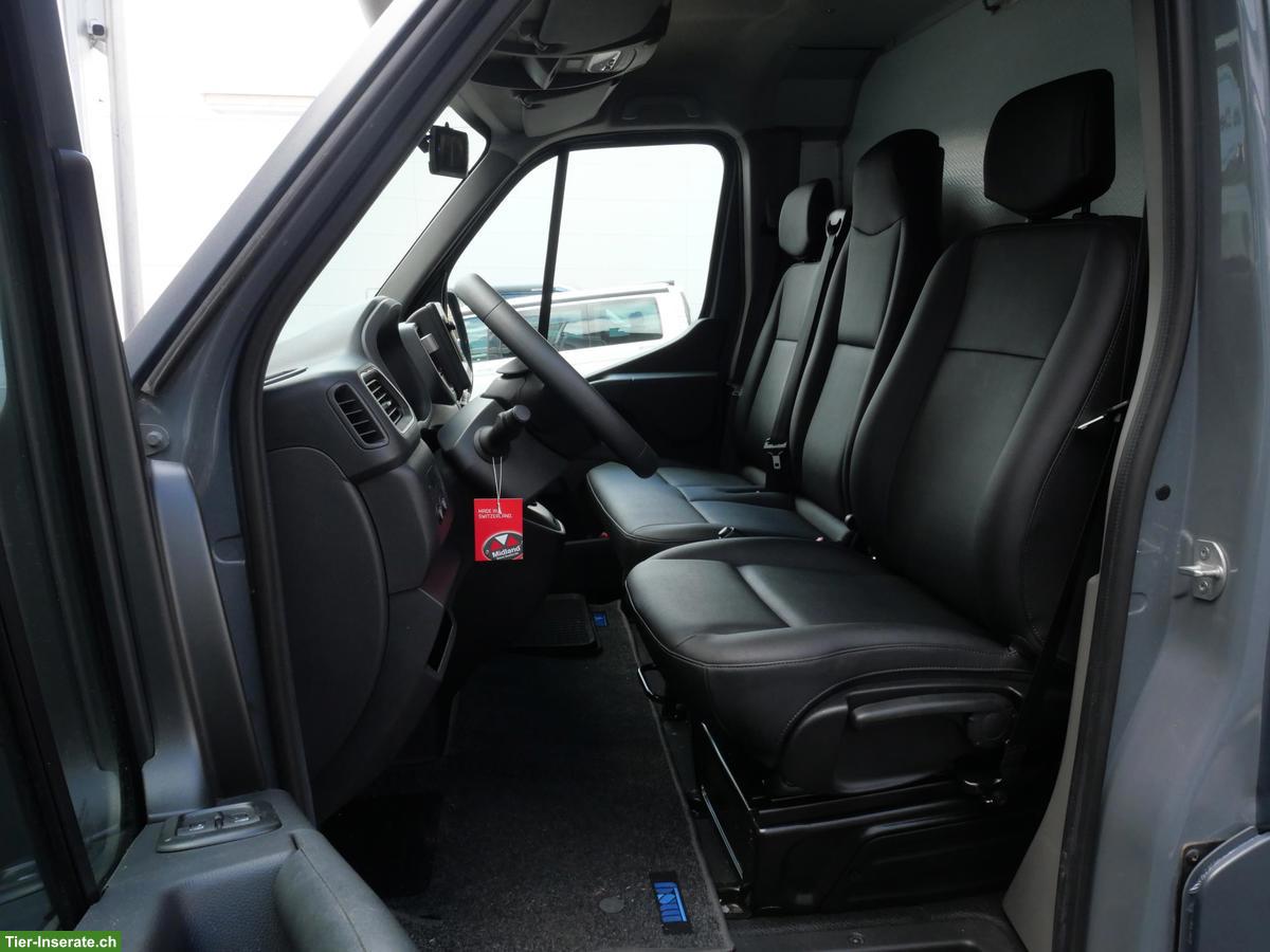 Bild 10: Pferdetransporter Selbstfahrer - RENAULT Master Automat MSG