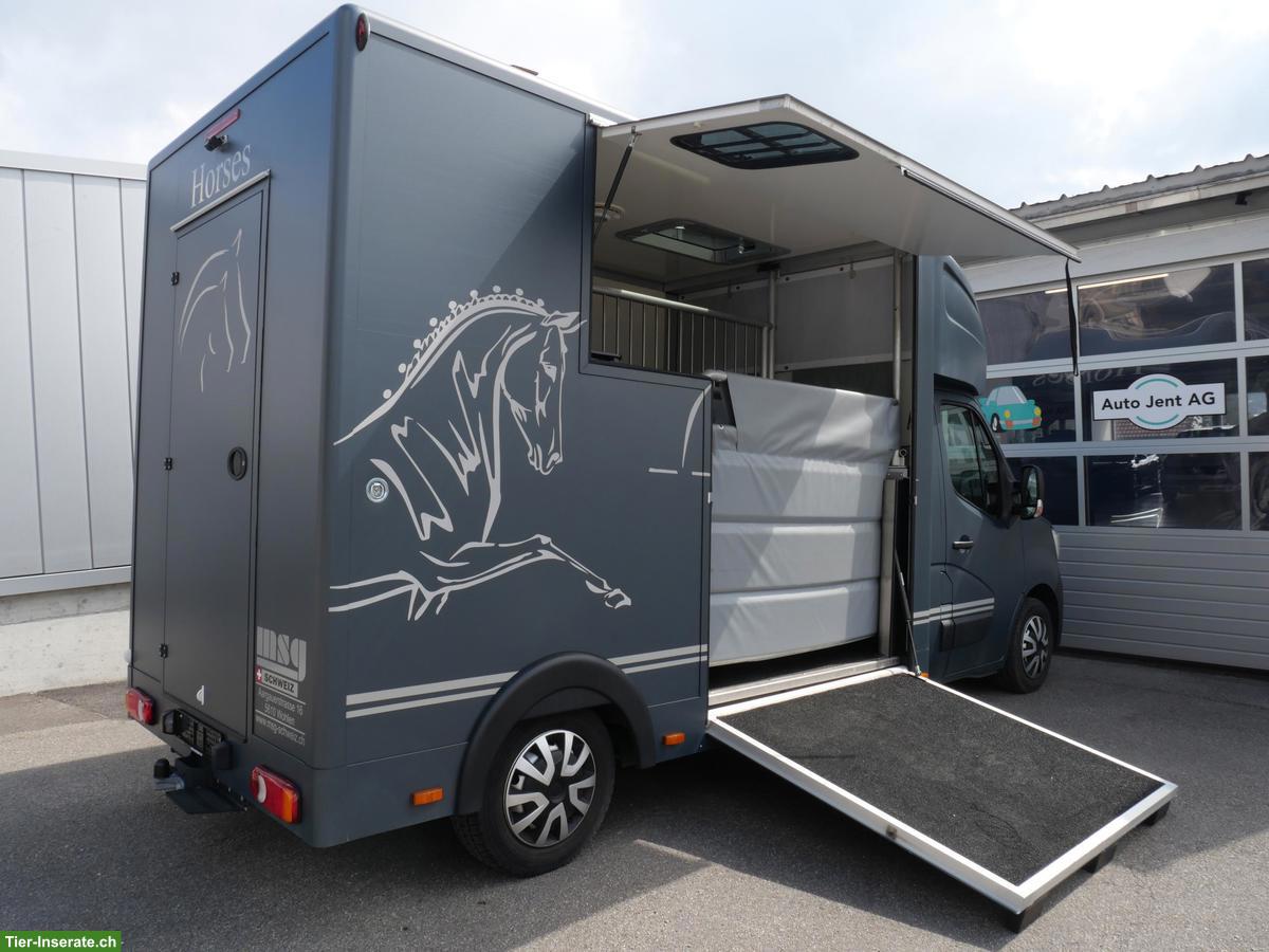 Bild 2: Pferdetransporter Selbstfahrer - RENAULT Master Automat MSG