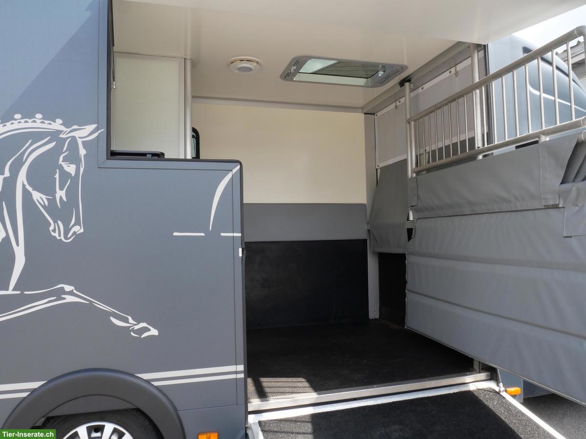 Bild 6: Pferdetransporter Selbstfahrer - RENAULT Master Automat MSG