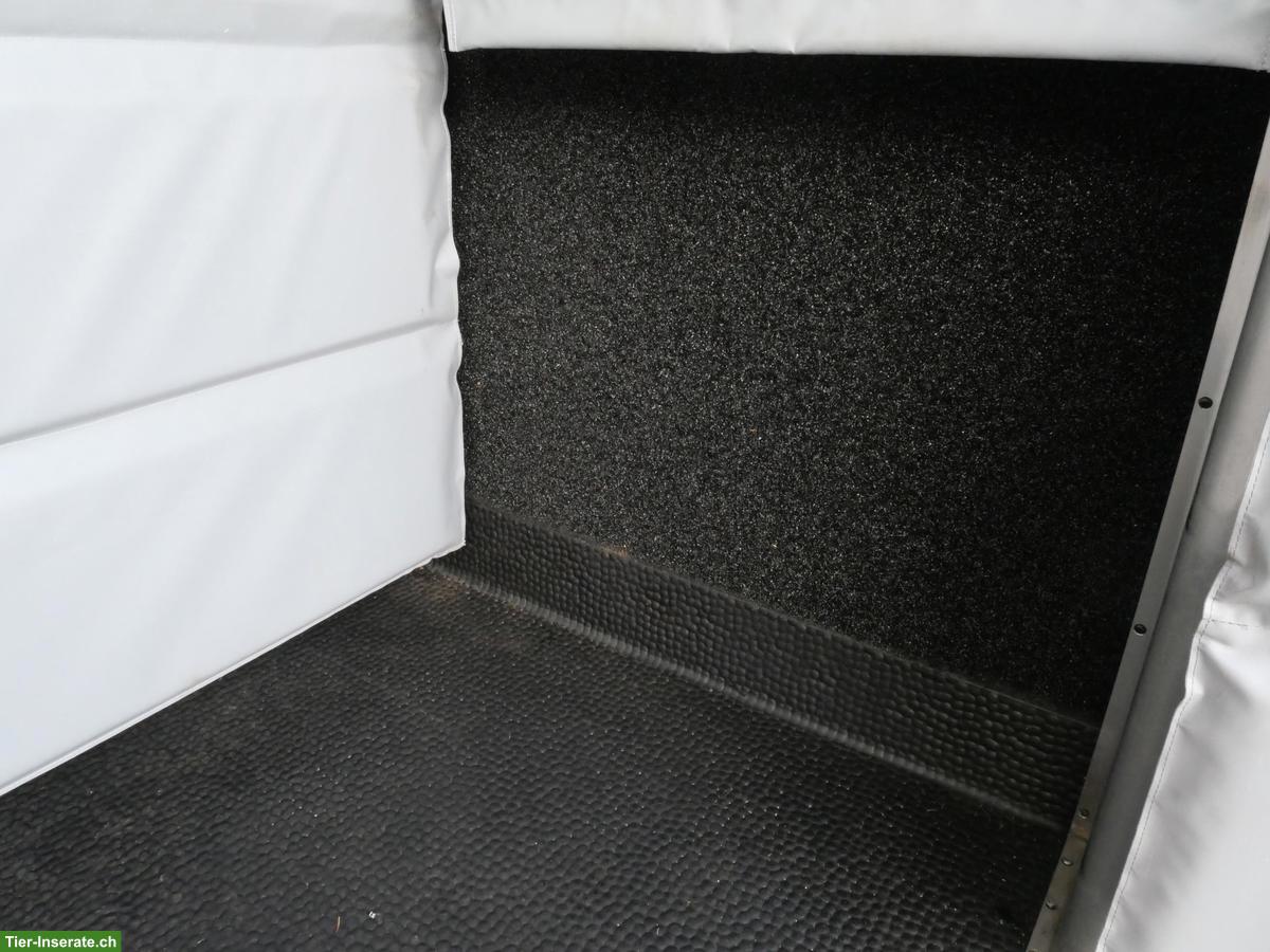 Bild 9: Pferdetransporter Selbstfahrer - RENAULT Master Automat MSG