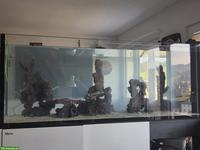 Meerwasseraquarium Red Sea Peninsula 650 inkl. Riffaufbau & Technik