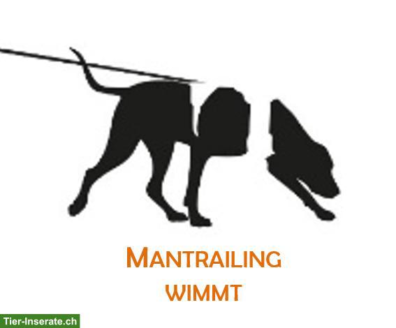 Mantrailing und Geruchsdifferenzierung