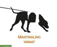 Mantrailing und Geruchsdifferenzierung