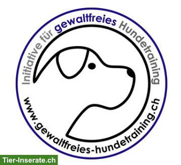 Bild 2: Mantrailing und Geruchsdifferenzierung