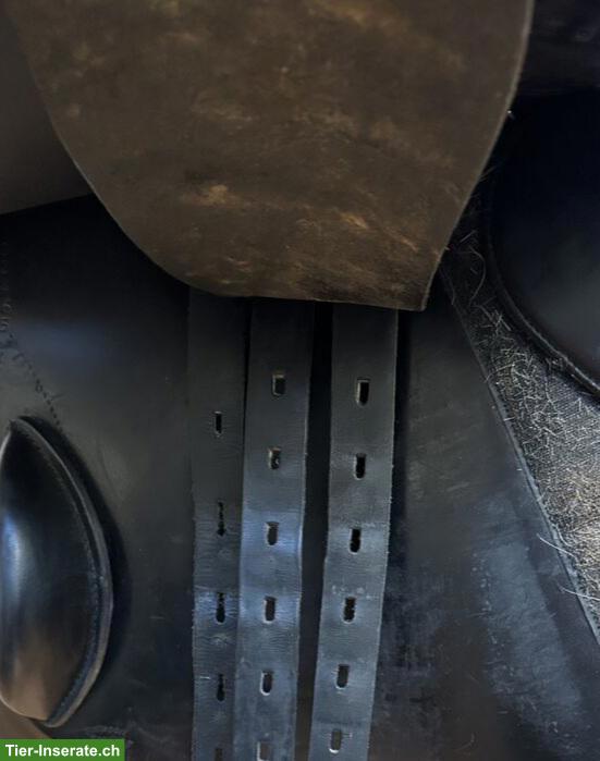 Bild 3: Jaguar Springsattel, Modell Harry Dabbs