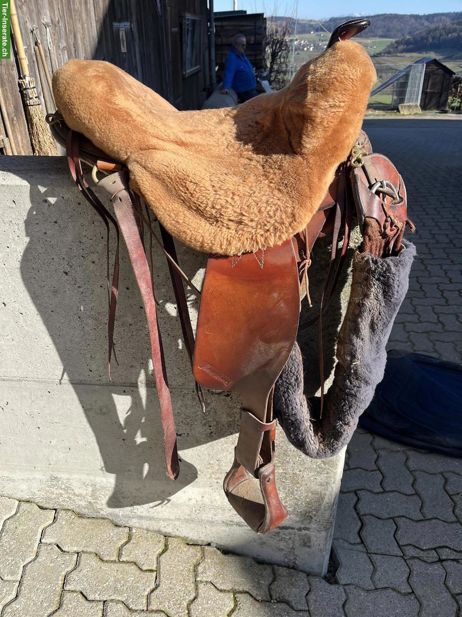 Bild 2: Sharon Saare Westernsattel 16 Zoll zu verkaufen