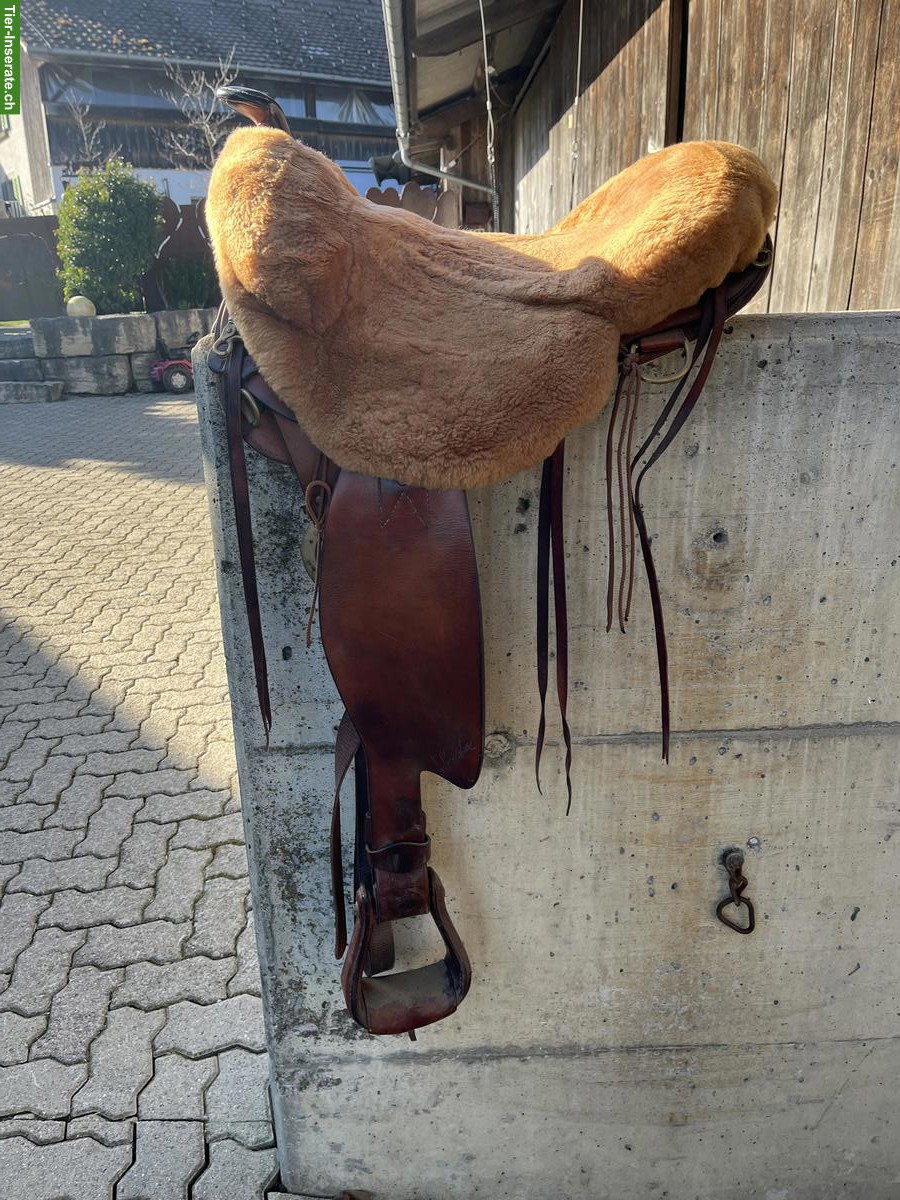 Bild 7: Sharon Saare Westernsattel 16 Zoll zu verkaufen