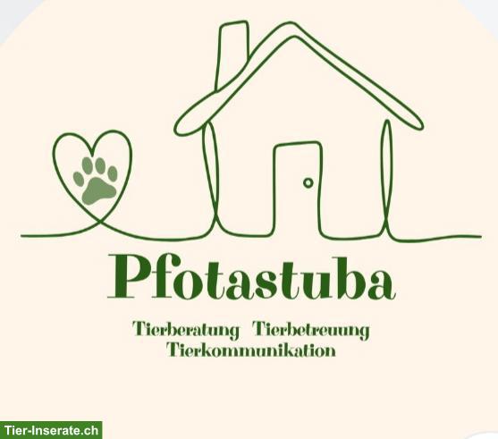 Pfotastuba | Tierbetreuung bei dir Zuhause