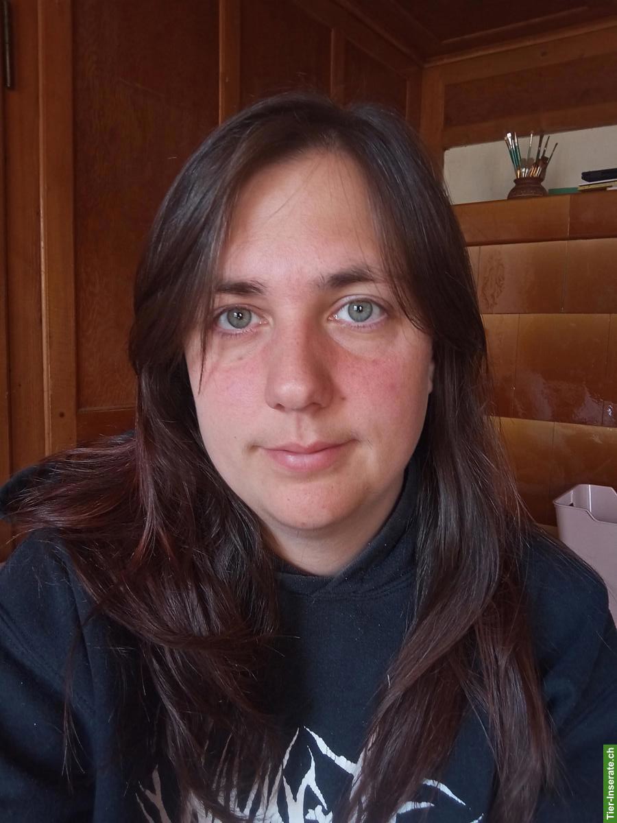 Bild 2: Pfotastuba | Tierbetreuung bei dir Zuhause