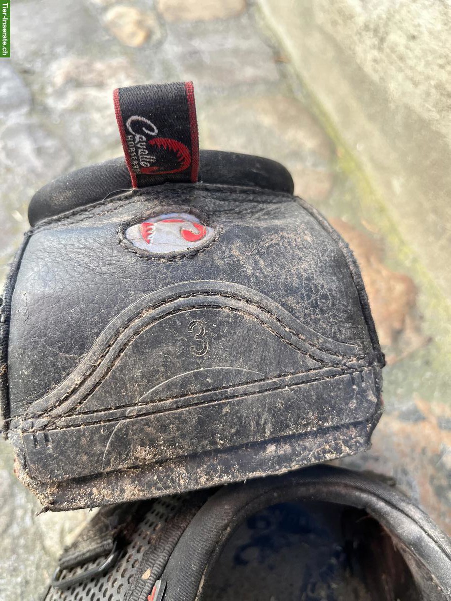 Bild 2: Cavallo Trek Hufschuhe Gr. 3 + 4 zu verkaufen