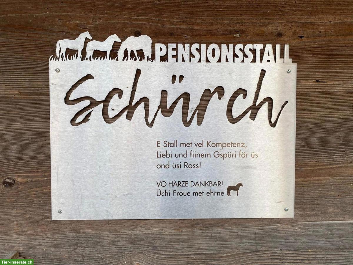 Bild 2: Pensionsplatz zu vermieten in grosszügigen Auslaufbox, Sempach LU