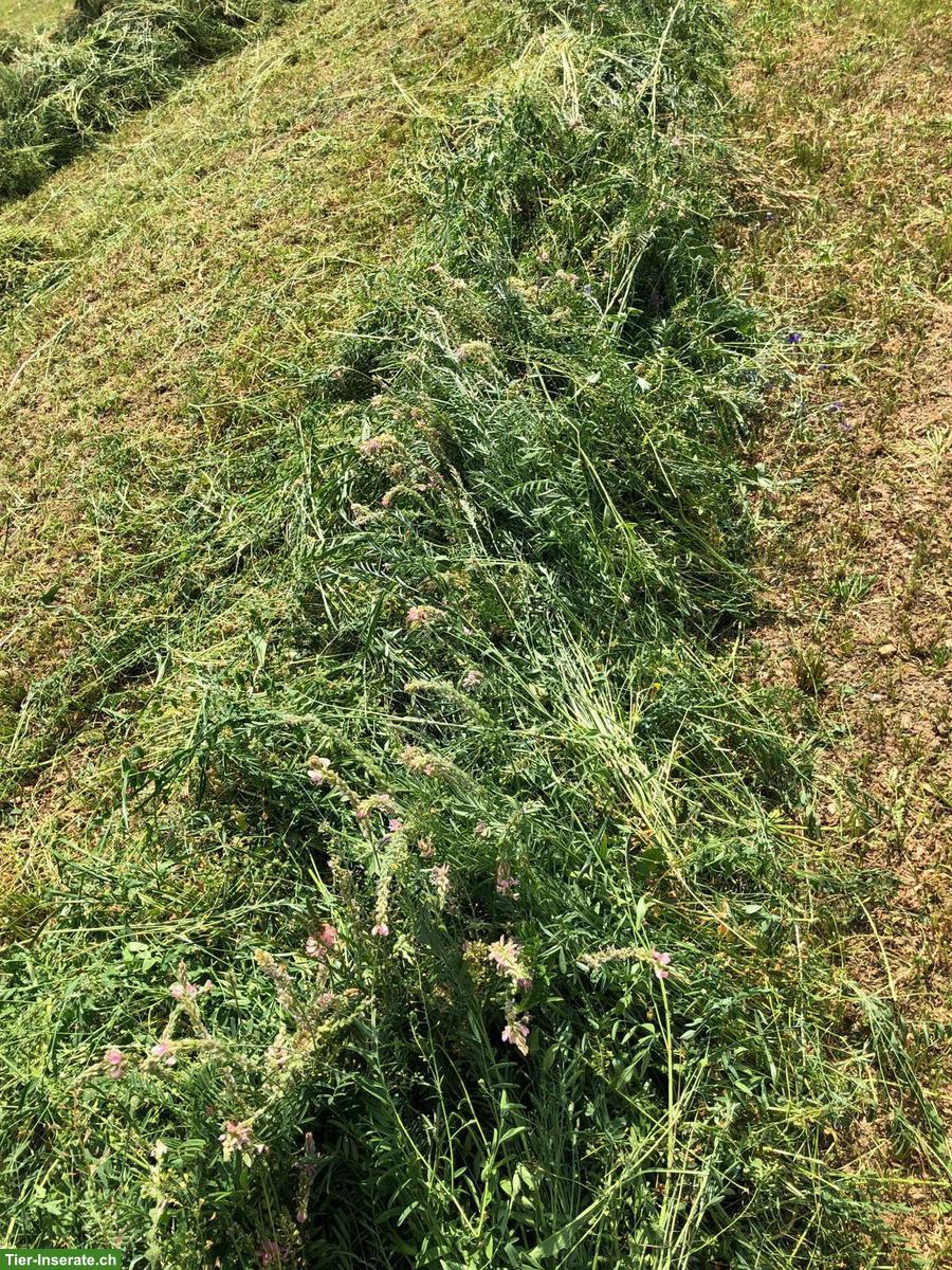 Bild 3: Esparsette Pellets - Direktverkauf ab Hof