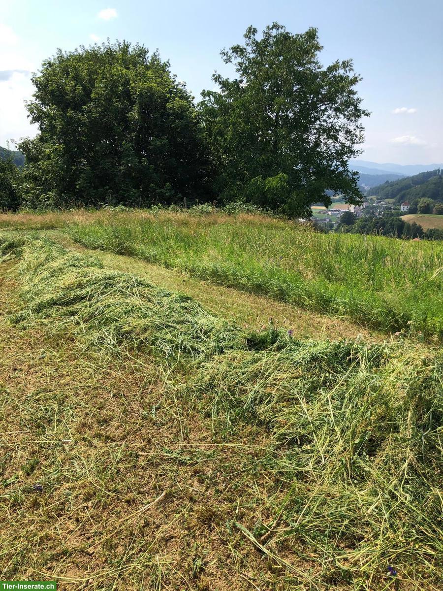 Bild 6: Esparsette Pellets - Direktverkauf ab Hof