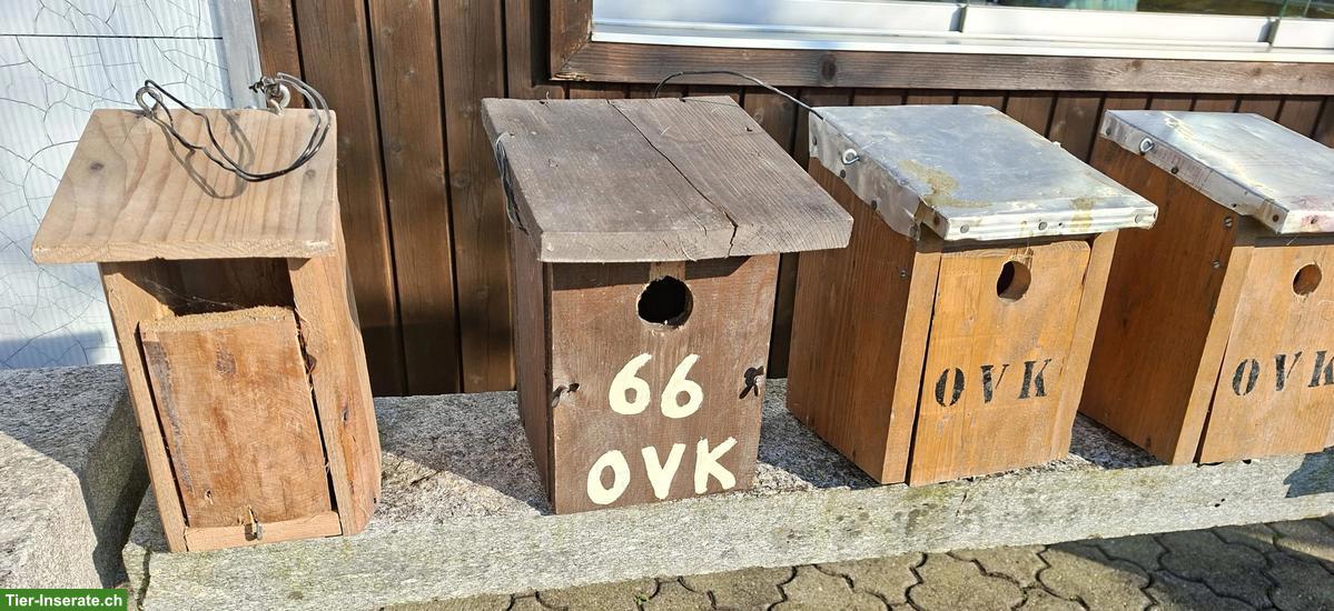 Nistkästen für Vögel zu verkaufen