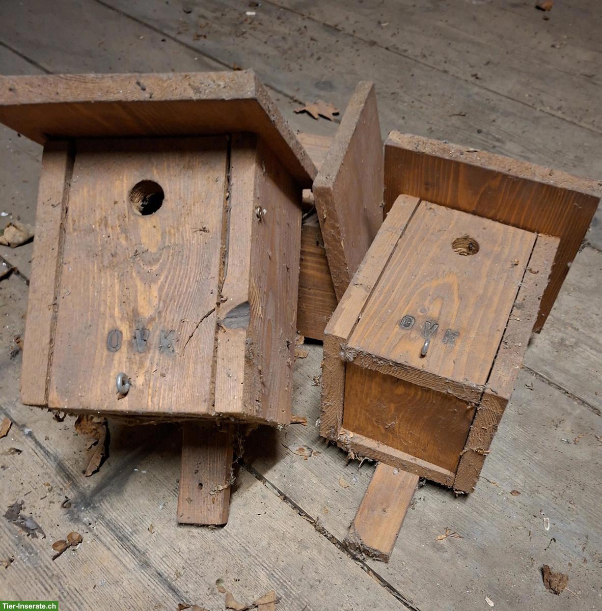 Bild 3: Nistkästen für Vögel zu verkaufen