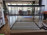 Terrarium / Glassterrarium, ungebraucht