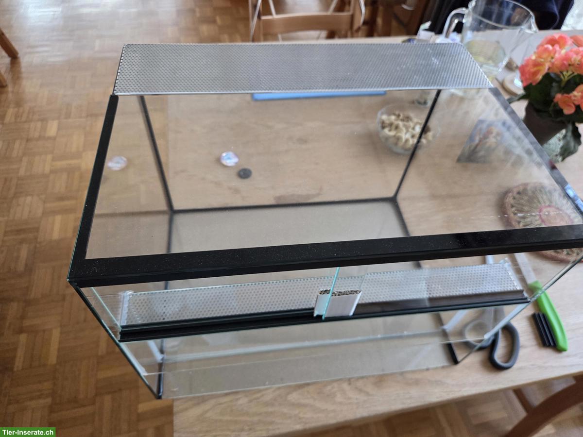 Bild 2: Terrarium / Glassterrarium, ungebraucht