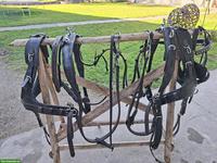2-Spänner Marathon-Kummet-Geschirr zu verkaufen