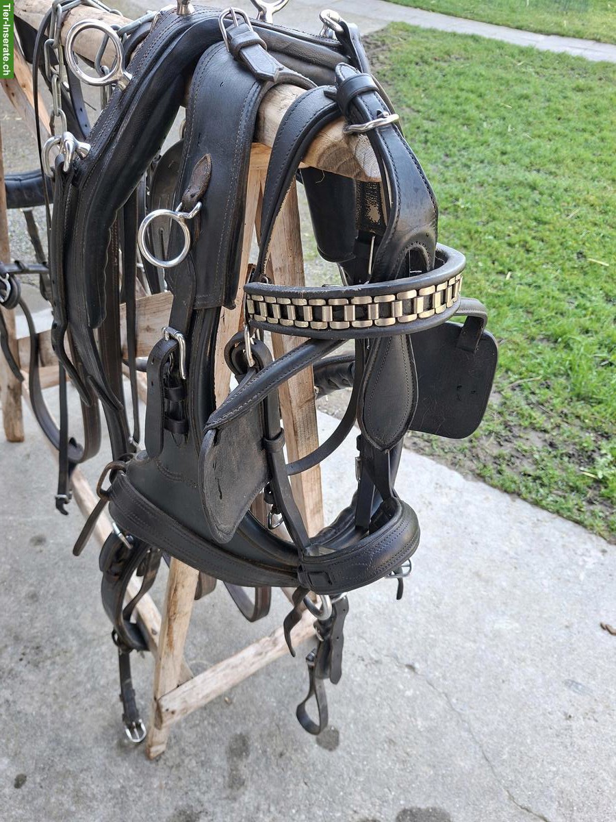 Bild 3: 2-Spänner Marathon-Kummet-Geschirr zu verkaufen