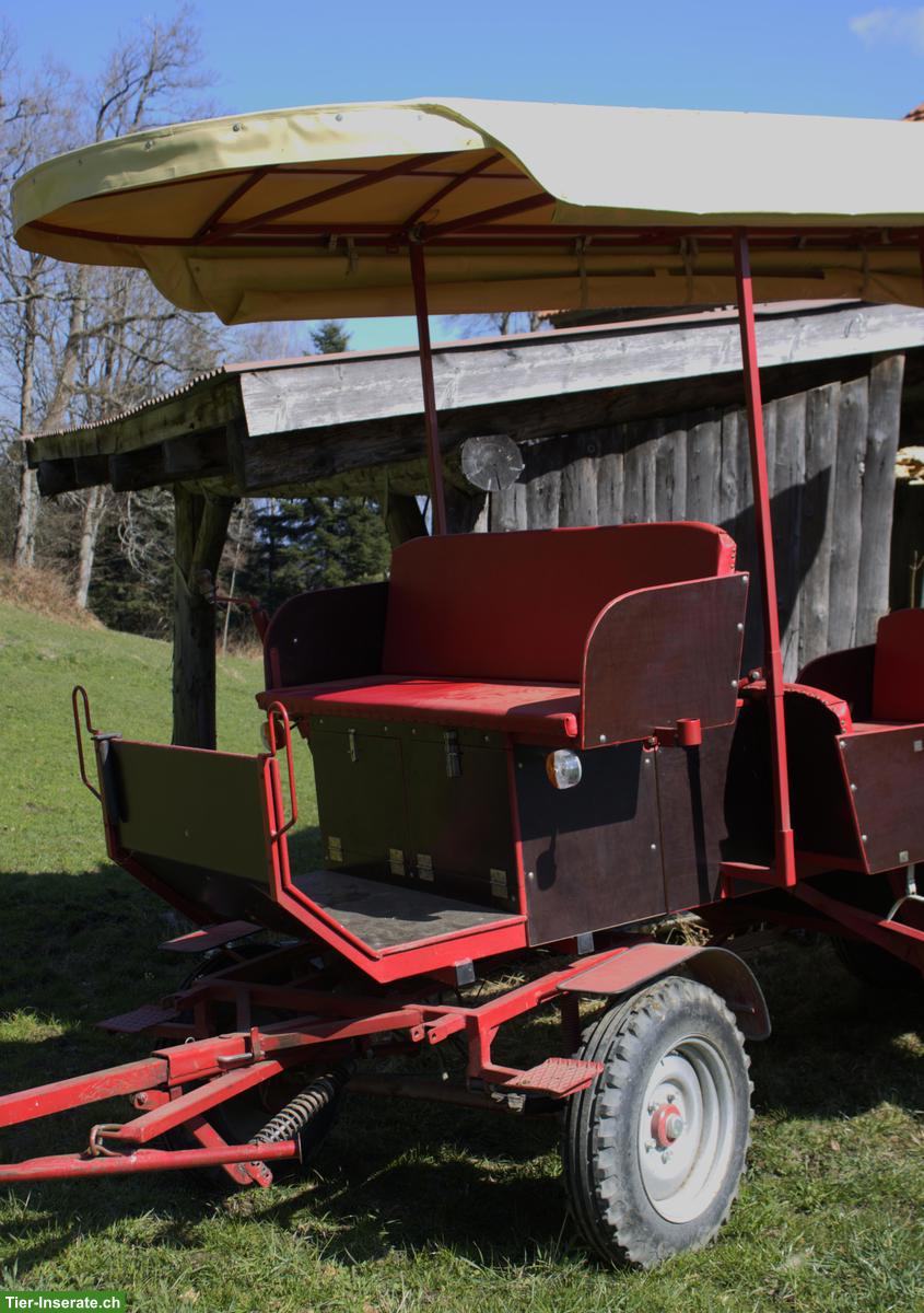 Bild 2: 2-Spänner-Ausfahrtskutsche mit 12 Sitzplätzen