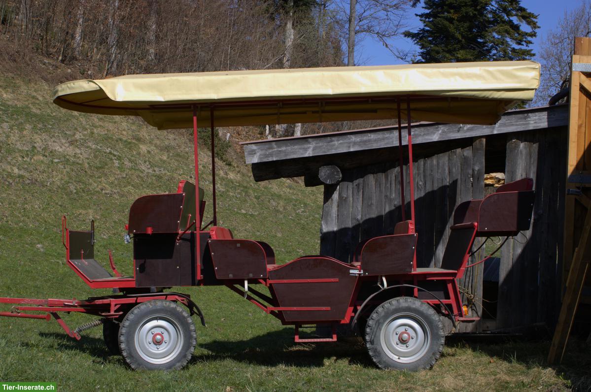 Bild 3: 2-Spänner-Ausfahrtskutsche mit 12 Sitzplätzen