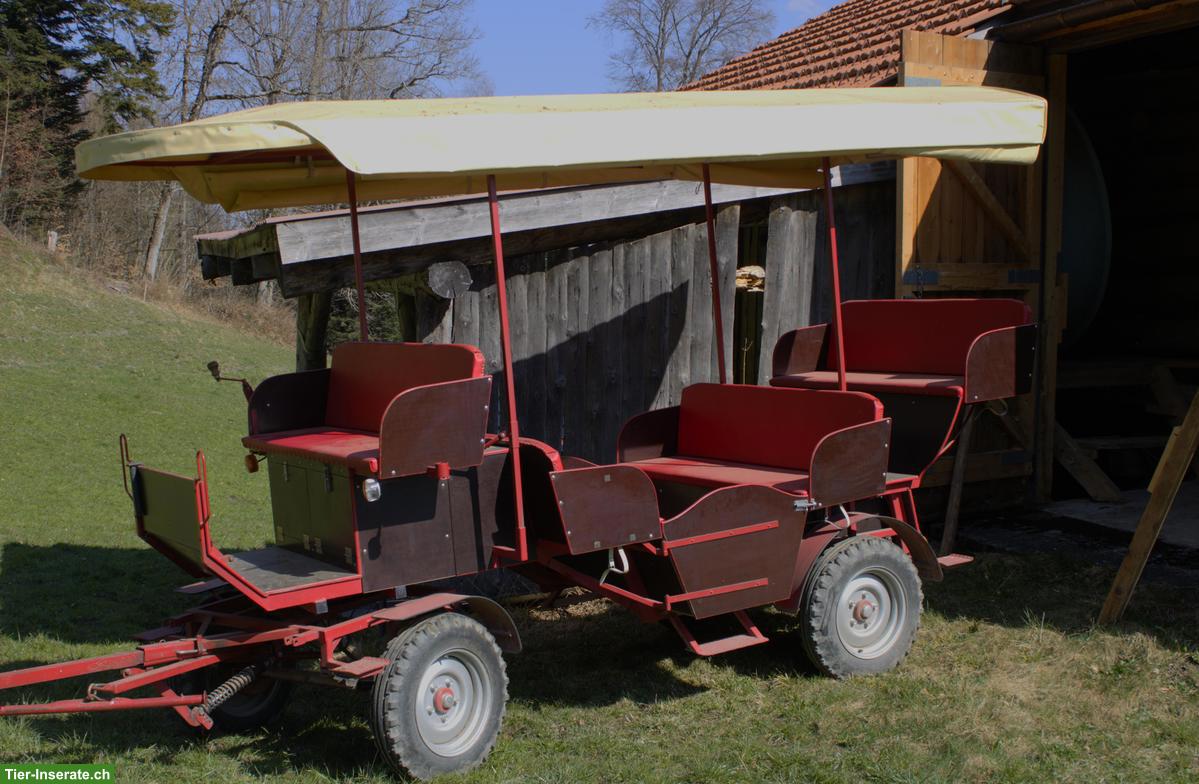 Bild 4: 2-Spänner-Ausfahrtskutsche mit 12 Sitzplätzen