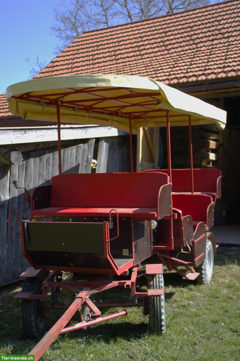 Bild 5: 2-Spänner-Ausfahrtskutsche mit 12 Sitzplätzen