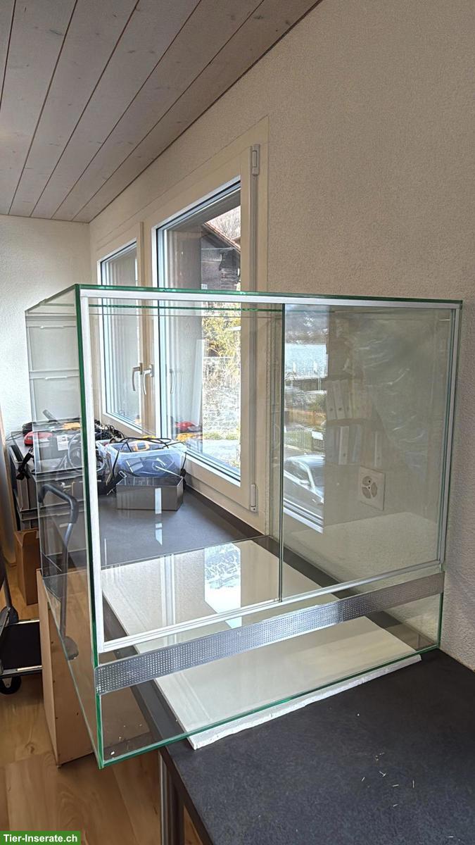 Bild 2: Neuwertiges Terrarium aus Glas mit Schiebetüren