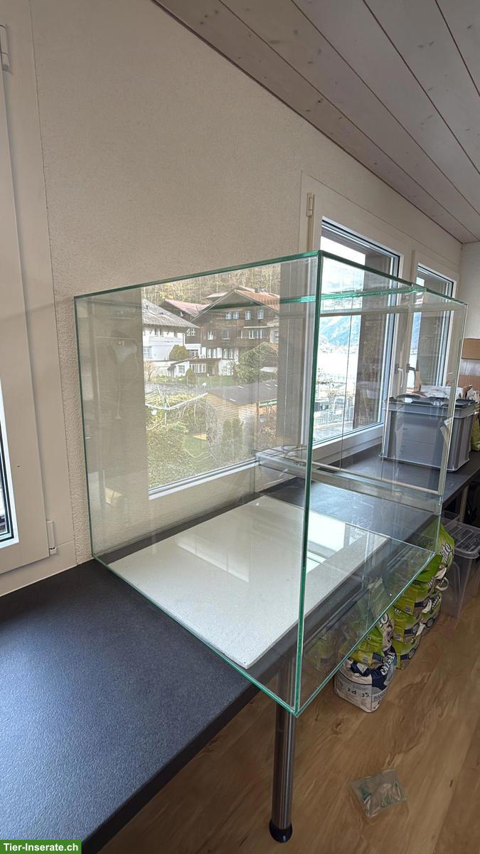 Bild 3: Neuwertiges Terrarium aus Glas mit Schiebetüren