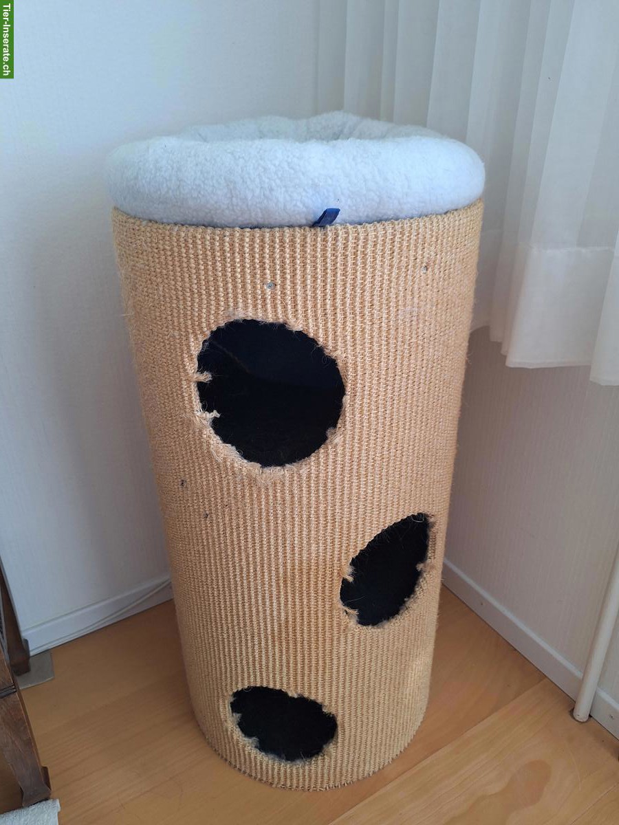 Kratztonne für Katzen, 80cm, zu verkaufen
