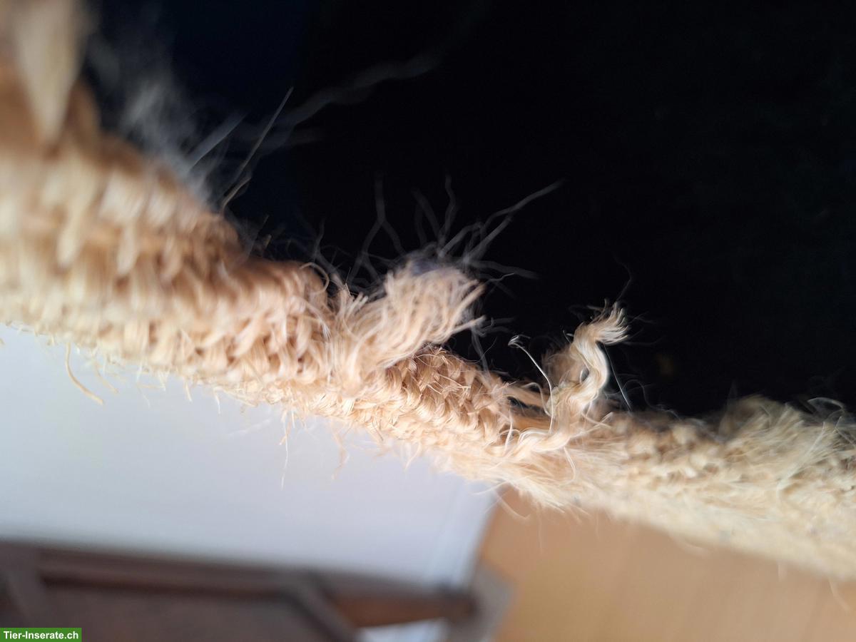 Bild 2: Kratztonne für Katzen, 80cm, zu verkaufen